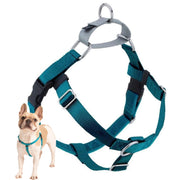 2 Hounds Design harnais face avant Teal montrant contrôle et confort