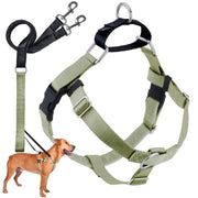 2 Hounds Design harnais face avant montrant ajustements et confort
