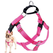 2 Hounds Design harnais face avant montrant contrôle stable
