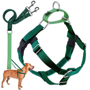 2 Hounds Design harnais face avant montrant maintien et contrôle