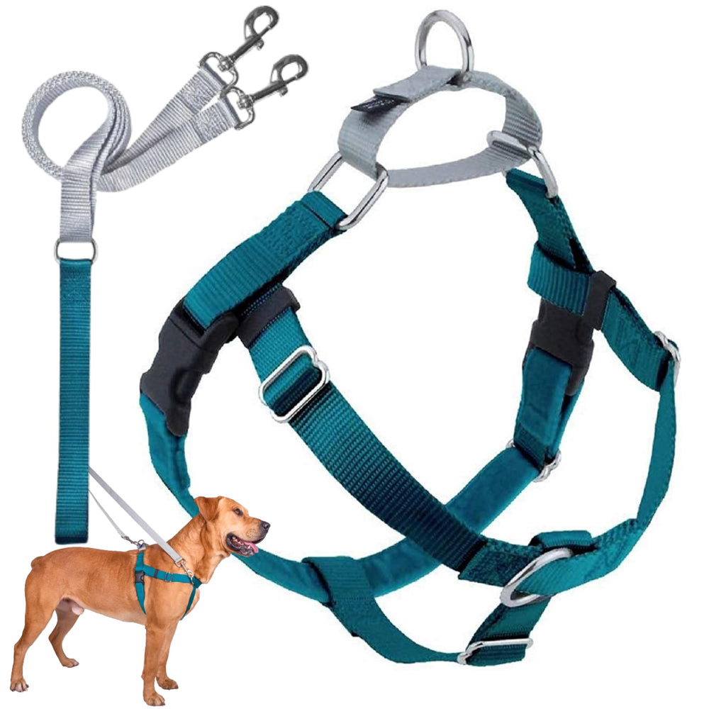 2 Hounds Design harnais face avant montrant contrôle et confort