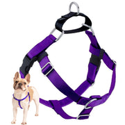 2 Hounds Design harnais face avant violet, confort et contrôle supérieurs