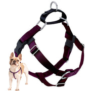 2 Hounds Design harnais face bourgogne montrant maintien et style