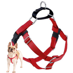 2 Hounds Design harnais face avant montrant maintien et contrôle