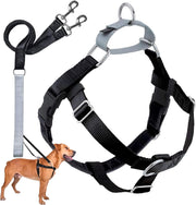 2 Hounds Design harnais frontal noir montrant maintien sécurisé et contrôle
