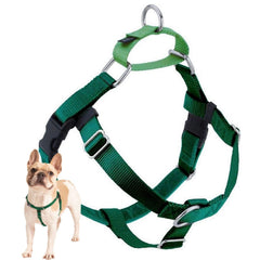 2 Hounds Design harnais face en Kelly Green, visibilité et contrôle améliorés