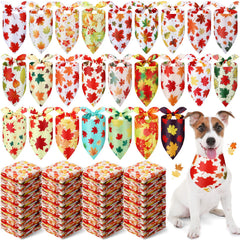 Abbylike photo de l'avant du paquet montrant 200 bandanas, pratique pour événements