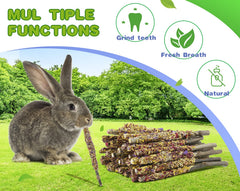 Abizoo gros plan sur texture bois de pommier, durable pour limer dents