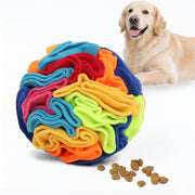 Ablechien balle face avant montrant la forme et les zones de cachette, durable