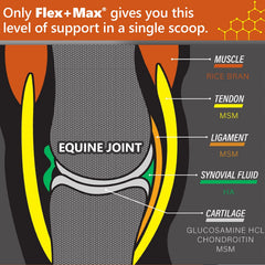 Gros plan des pellets Absorbine Flex+Max montrant la texture concentrée et appétente