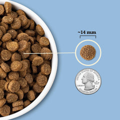ACANA citrouille et avoine gros plan apportant fibres et digestion