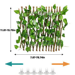 Acsist gros plan sur les feuilles PPC durable offrant texture pour grimper