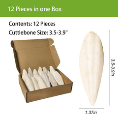 Acsist gros plan texture fibreuse de l'os, favorise usure naturelle du bec