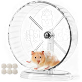 Acsist roue transparente vue frontale montrant stabilité et design