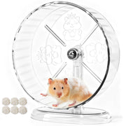 Acsist roue transparente vue frontale montrant stabilité et design