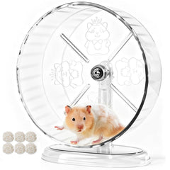 Acsist roue transparente vue frontale montrant stabilité et design