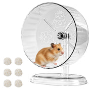 Acsist roue transparente face avant montrant design silencieux et visibilité