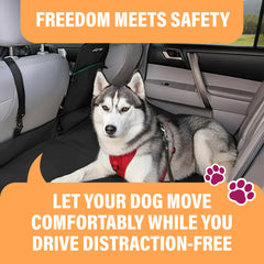 Active Pets chien attaché au harnais dans la voiture pour trajet serein