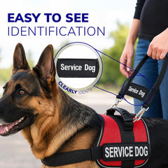 ActiveDogs clips d'attache rapides montrés ouverts pour changement facile