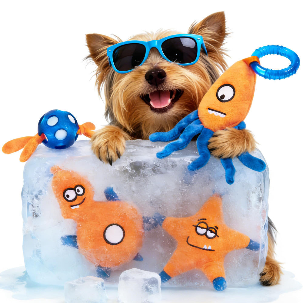 ADDPETS emballage avant montrant le lot de quatre jouets apaisants