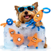 ADDPETS emballage avant montrant le lot de quatre jouets apaisants