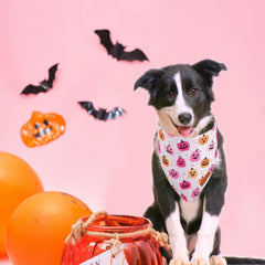 ADOGGYGO détail couture du bandana fantôme, renforce la durabilité