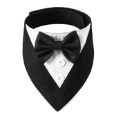 ADOGGYGO bandana tuxedo face montrant élégance et tenue formelle