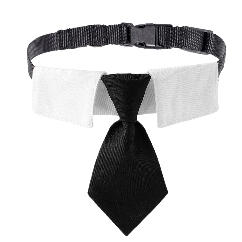ADOGGYGO collier cravate vue de face pour look formel et élégant