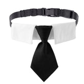 ADOGGYGO collier cravate vue de face pour look formel et élégant