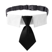 ADOGGYGO collier cravate vue de face pour look formel et élégant