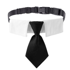 ADOGGYGO collier cravate vue de face pour look formel et élégant