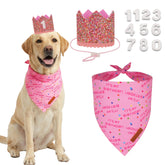 ADOGGYGO face du set bandana et couronne, look festif instantané