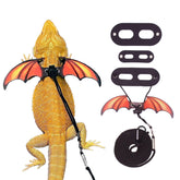 ADOGGYGO harnais avant pack orange montrant design coloré et visibilité