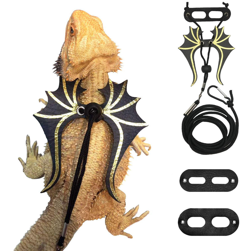 ADOGGYGO harnais face avant montrant les ailes dinosaure et design attrayant