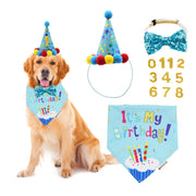 ADOGGYGO kit ensemble pour fête, look photo prêt à l'emploi