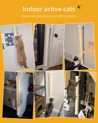 Aechonow fixation murale solide visible pour montage sécurisé et stable