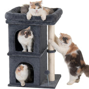Aechonow face avant de l'arbre à chat montrant stabilité et design