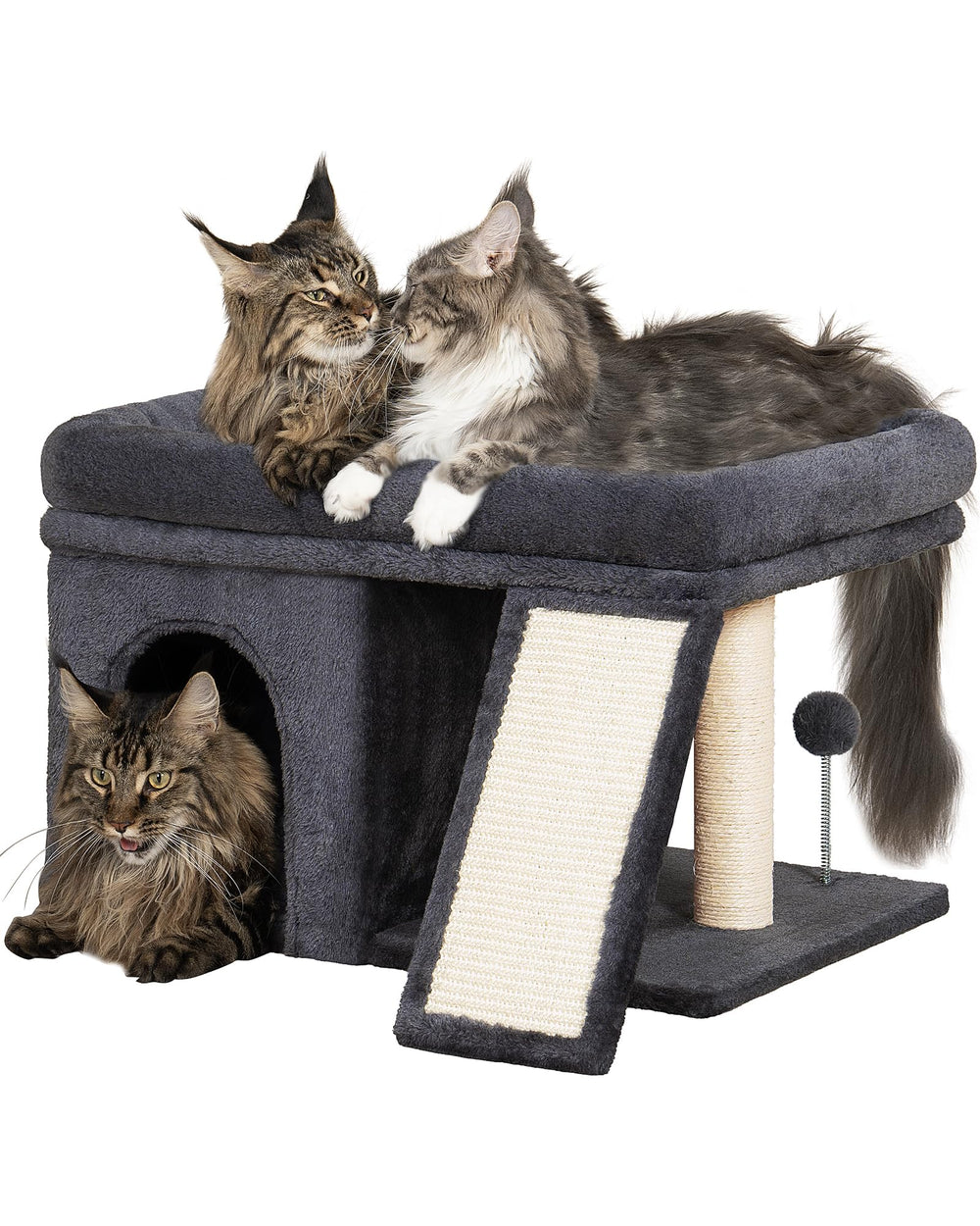 Aechonow perchoir avant montrant espace et confort pour grands chats