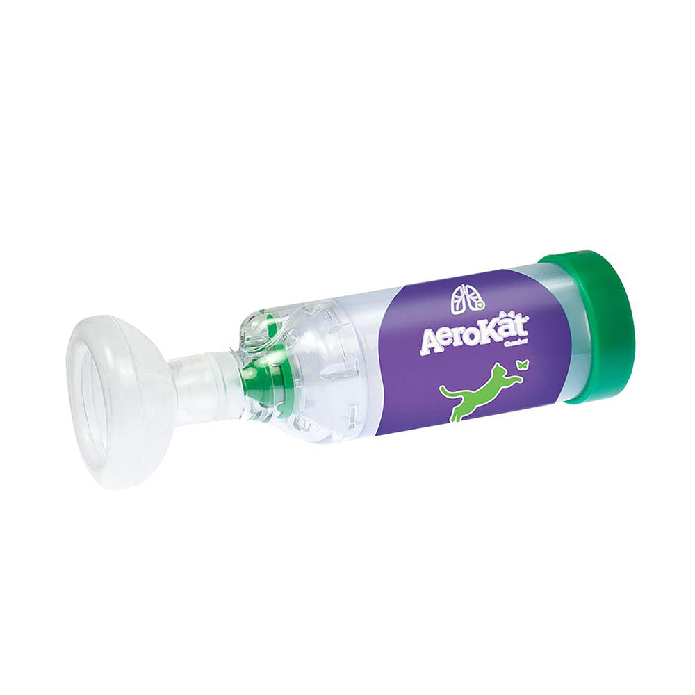 Aerokat vue frontale avec masques inclus et emballage clair