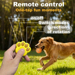 Affiuya balle en action rebondissante stimule le jeu du chien