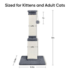 AGYM base large illustrant stabilité et sécurité pour chats actifs