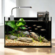 Ahua Walsong aquarium face avant présentant un design épuré et visibilité claire