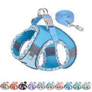 Aiitle harnais face bleu XS montrant coupe confortable et fixation sûre