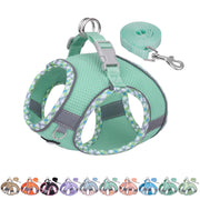 Aiitle harnais face turquoise montrant coupe et confort pour petit chien