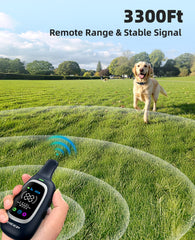 AIKEEP collier porté sur chien en extérieur, entraînement à distance sans entrave des mouvements