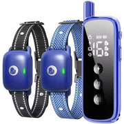 aikko collier bleu face avant montrant le design et la robustesse