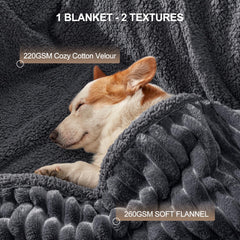 AIPERRO coupe montrant membrane TPU imperméable pour protection fiable