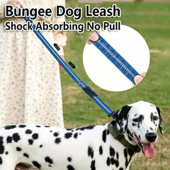airuidog détail de la section bungee absorbant les à-coups pour confort