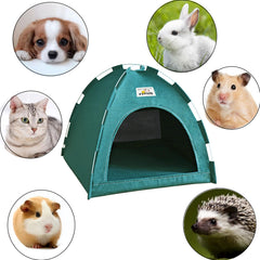 alfyng tente en usage intérieur avec chaton détendu et calme