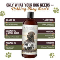 All American Canine versé sur croquettes indiquant appétence et ajout calorique